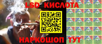 гидропоника Новозыбков