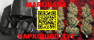 гидропоника Новозыбков