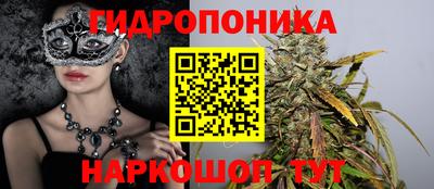 гидропоника Новозыбков