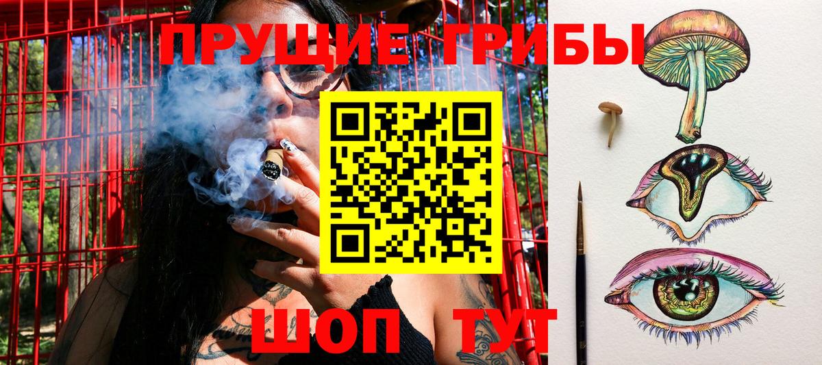 Псилоцибиновые грибы Psilocybe Солнечногорск
