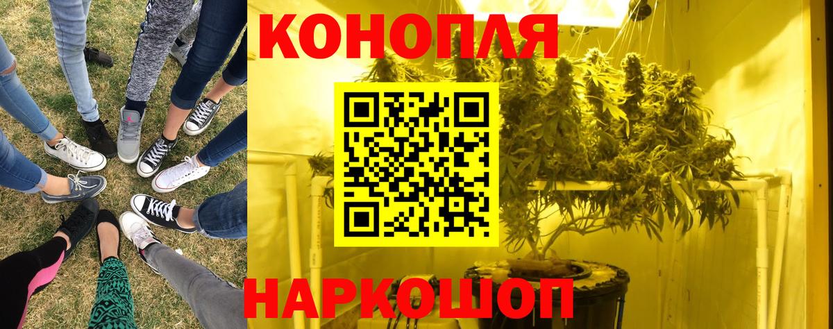 Конопля SATIVA & INDICA Солнечногорск